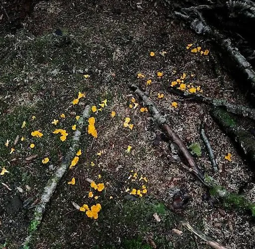 House With Whirlpool * Nygard (Nordland)
