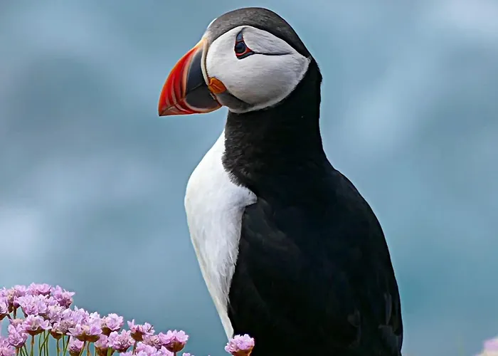 House With Whirlpool Nygard (Nordland)