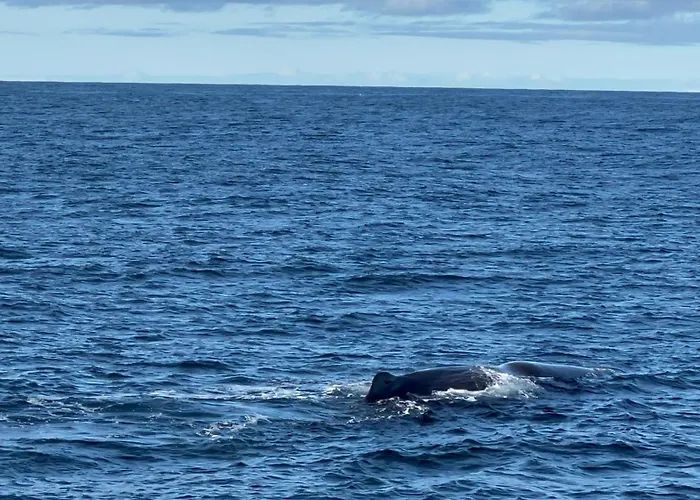 House With Whirlpool Nygard (Nordland)