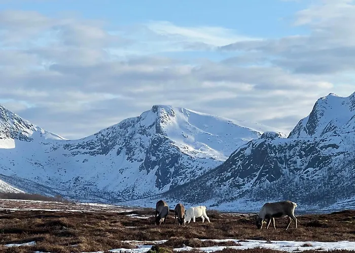 Feriehus House With Whirlpool *