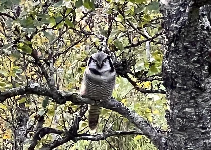 House With Whirlpool *