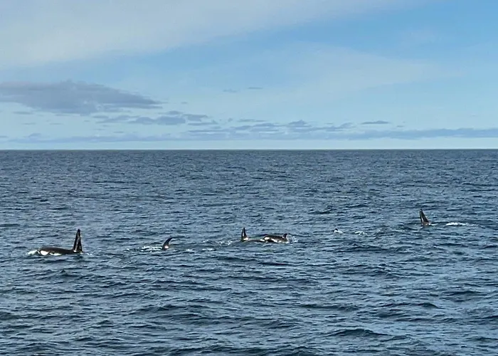 House With Whirlpool Feriehus