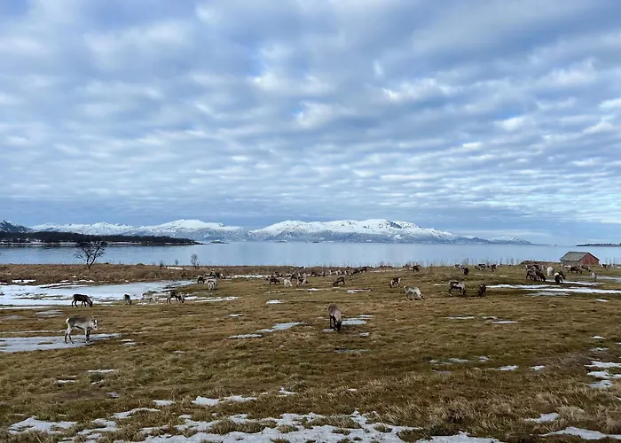 House With Whirlpool *