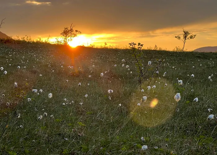 House With Whirlpool Feriehus *