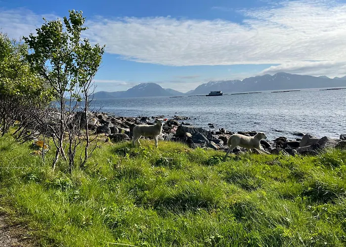 House With Whirlpool