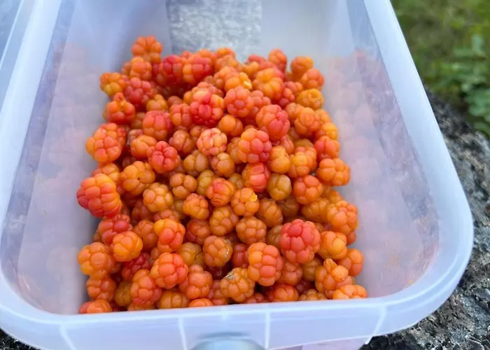 House With Whirlpool *